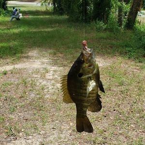 Meet your Posher, Kenneth